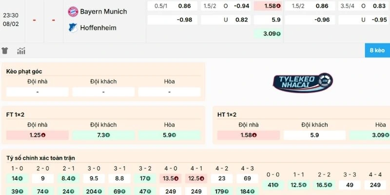 Kèo Nhà Cái Bayern Vs Hoffenheim Hôm Nay Ngày 08/02/2026 - Bundesliga 2 Nhận xét kèo Bayern vs Hoffenheim